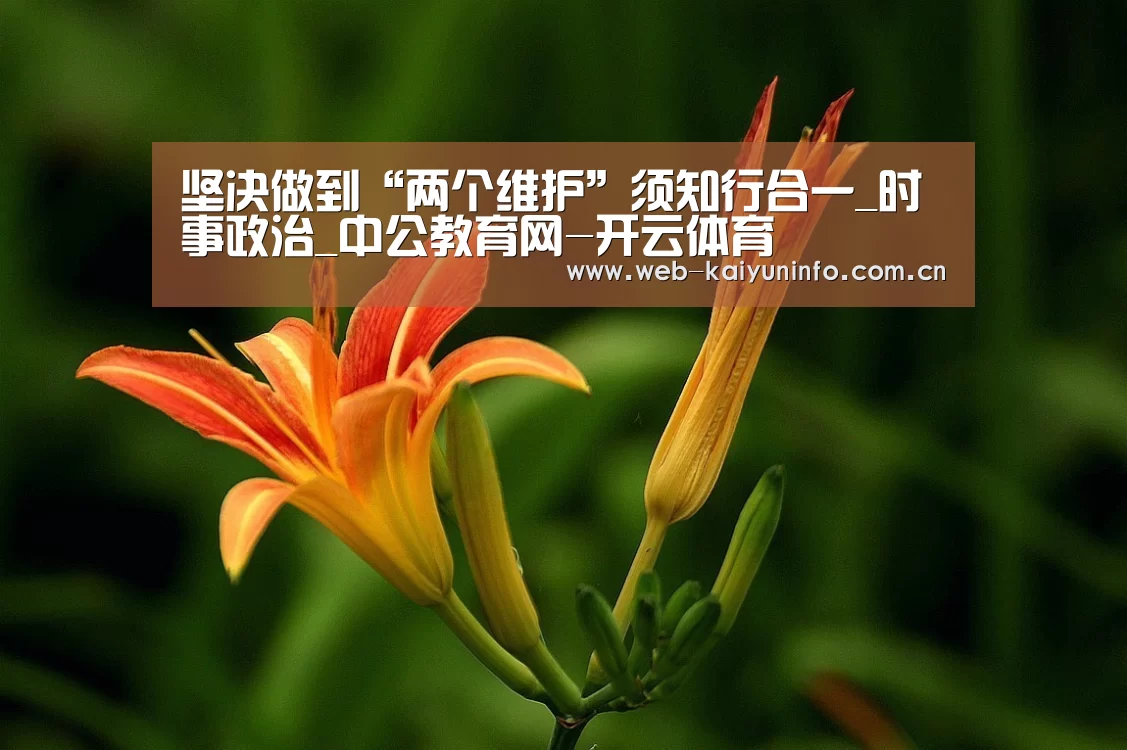 开云体育