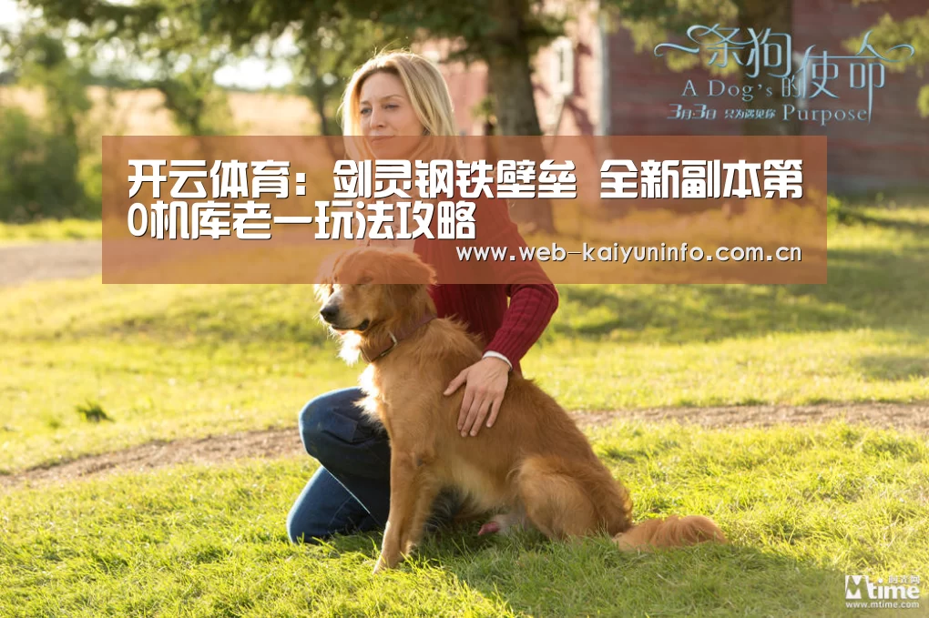 开云体育