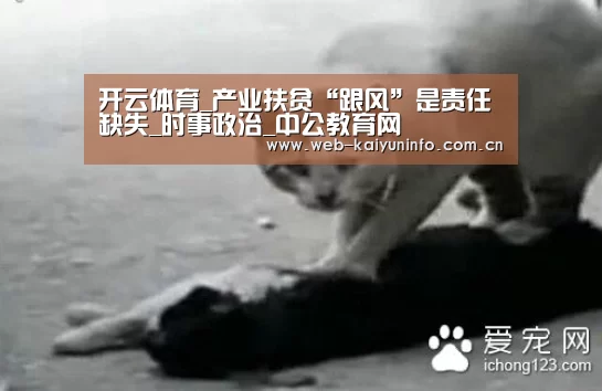 开云体育_产业扶贫“跟风”是责任缺失_时事政治_中公教育网(图1) 开云体育