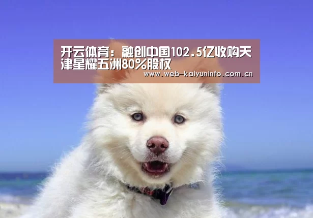 开云体育:融创中国102.5亿收购天津星耀五洲80%股权(图2) 开云体育